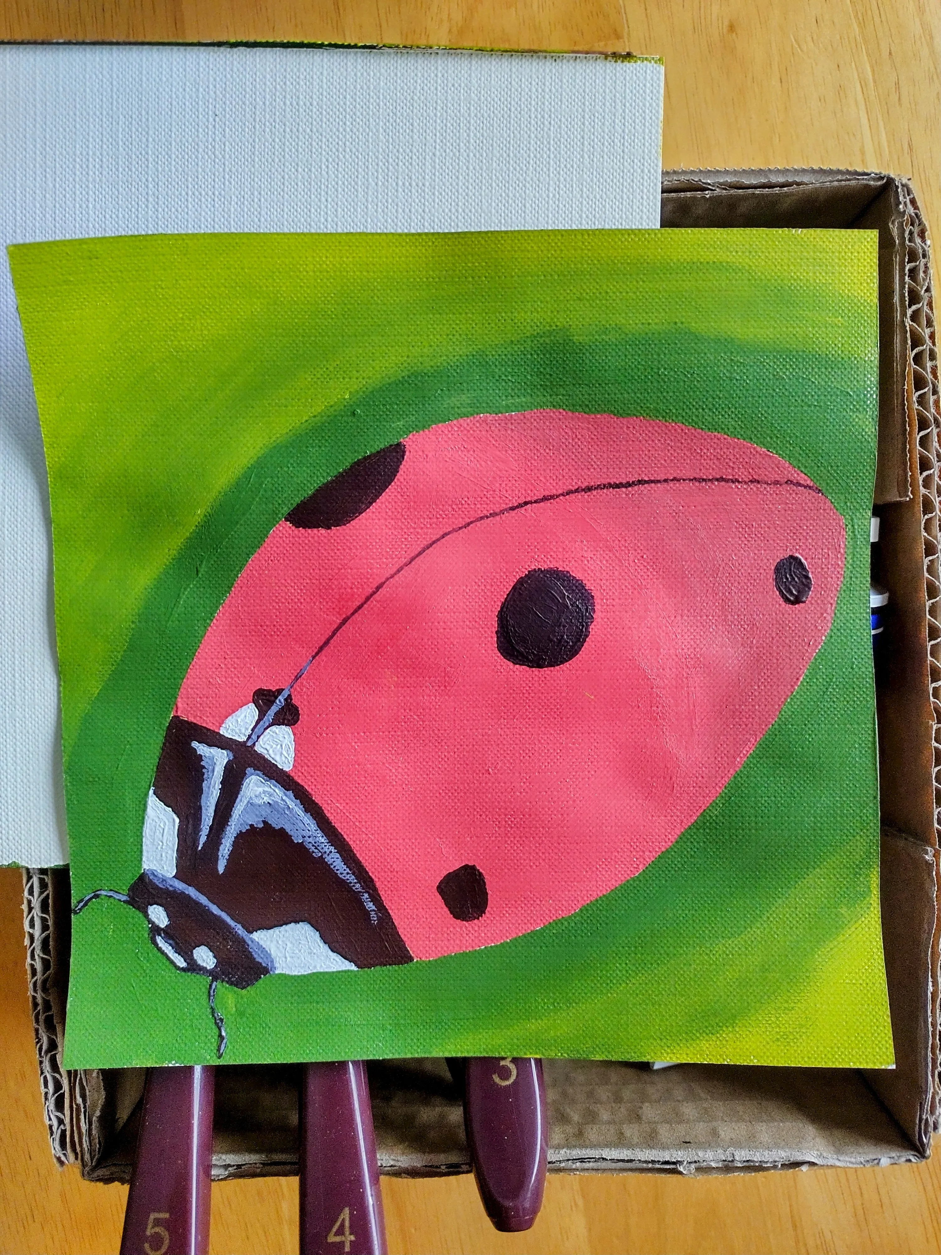 A ladybug Kevin painted